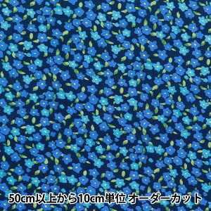 y5z n w60[vg ԕ lCr[ 60LA25-PB-NVx yUIWiz