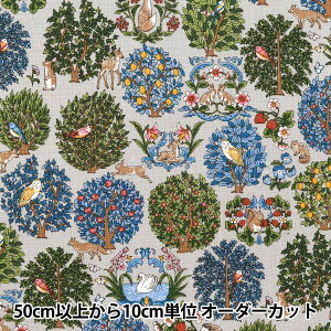 y5z n wȖLoX Aj}tHXg O[ R9011-1Cx