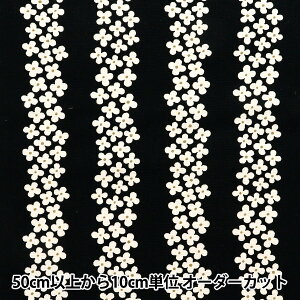 y5z n w̕z 10ԃLoX XgCv ubN UP5896-Gx COTTON KOBAYASHI Rbg΂₵ ё@