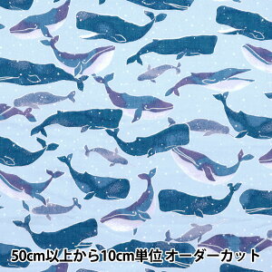 y5z n wWK[[ tbtBO NW TbNX 142-1363-C2x