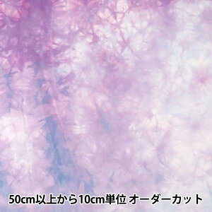 y5z n wLV[} j_C CA 6500-44x