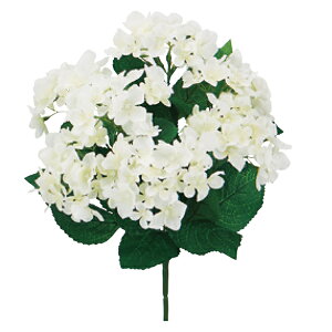  VNt[ wubV zCg FD3560-001x