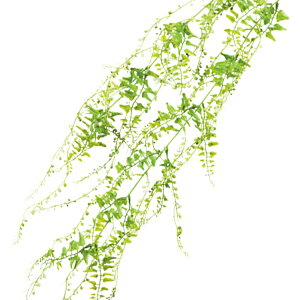 ���� �V���N�t�����[ �w�x���[���[�t�o�C�� �O���[�� F4105-024�x