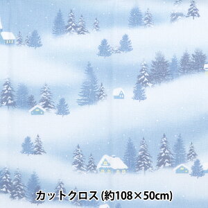 n wNX}Xvg JbgNX iF 108cm×50cm u[ C-DX10531L-Bx
