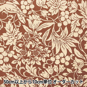 y5z n wR[fC _A[c AC{[×sN KTS7072-Ax COTTON KOBAYASHI Rbg΂₵ ё@