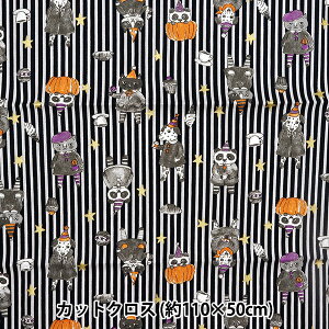 n wV[`O nEBXgCv JbgNX 110cm×50cm  C-YG-76020-1Bx KOKKA RbJ