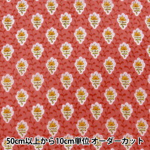 y5z n wSOULEIADO \CA[h iCcC veBbgEt[EfEV s[` SLFN-518Ex