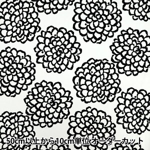 y5z n w̕z IbNX _A zCg×ubN ACS1115-Cx COTTON KOBAYASHI Rbg΂₵ ё@