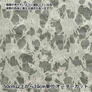 y5z n wEFCr[VA[k VN~g SALT-172SMIx