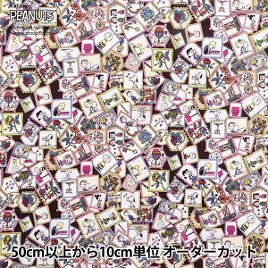 y5z n woeBEt@ubNX ^i[ X^vERNV DC33935-J25Dx Liberty Japan oeBWp