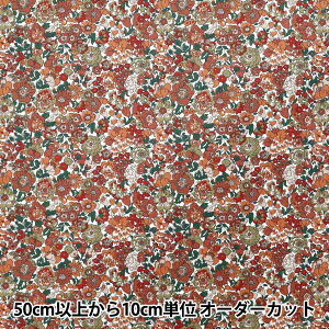 y5z n woeBEt@ubNX R[fC lAAj[&C 3635209-P25Cx Liberty Japan oeBWp