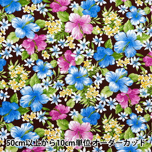 y5z n wu[h nCAvg nCrXJX uE 284-B-BRx