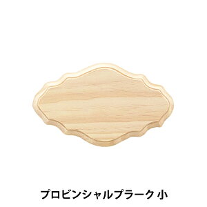 g[yCgޗ wvrVv[N  SK-01258x