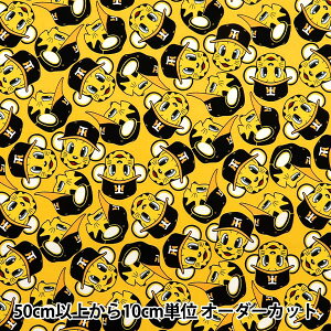 y5z n wIbNX _^CK[X gbL[ CG[ A6100-1Bx