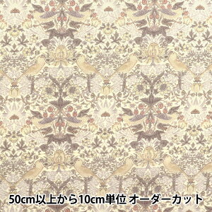 y5z n wV&A 80[ Xgx[V[t AC{[ VA10027-Cx