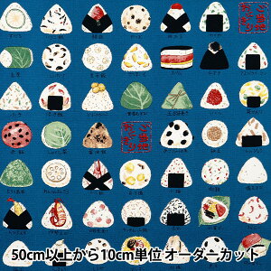 y5z n wIbNX nɂ蕿 E YPA-46030-1Ex KOKKA RbJ