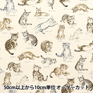 y5z n wIbNX }ӃV[Y L YPA-61000-1Ax KOKKA RbJ