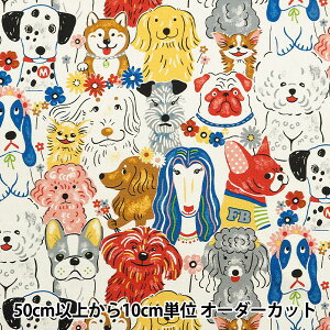 y5z n wIbNX ptAj} It YGA-71000-2Ax KOKKA RbJ