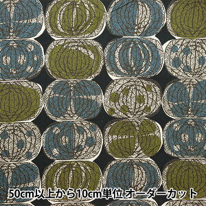 y5z n wȖV[`O AtJt@ubNX^C IjI ubN YKA-21000-2Dx KOKKA RbJ