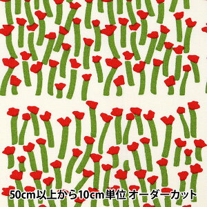 y5z n w̕z 10ԃLoX J[ AJ UP5797-Ax COTTON KOBAYASHI Rbg΂₵ ё@