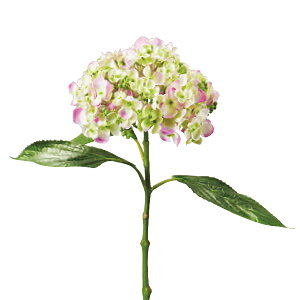 y1000~|bLz  VNt[ wĂ܂肠 x_[/O[ GA0229-194x y}\z