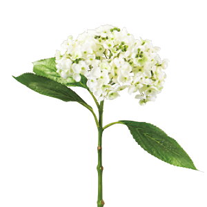 あじさい てまりてまりの通販 価格比較 価格 Com