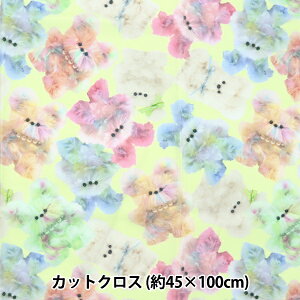 n wimaDOKIkids JbgNX 45cm×100cm C{[Aj} CG[ IMAF-21C-Yx KIYOHARA 
