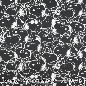 y5z n wXk[s[ mg[ ubN 827359-BKPx