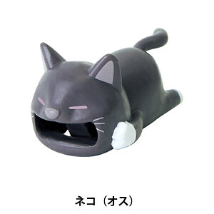 t@Xi[`[ wZIPPERBITE Cat lR IXx