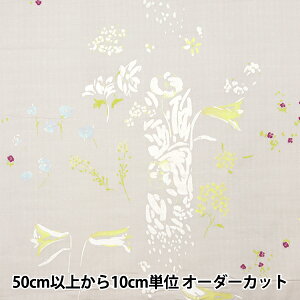 y5z n wijC I[KjbNWK[[ PAL EGX-11370-1Bx KOKKA RbJ