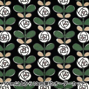 y5z n w̕z IbNX o ubN×zCg ACS1116-Bx COTTON KOBAYASHI Rbg΂₵ ё@