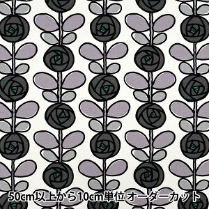y5z n w̕z IbNX o O[ ACS1116-Cx COTTON KOBAYASHI Rbg΂₵ ё@