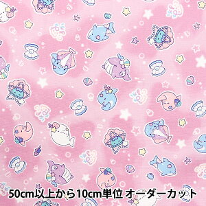 �y����5����z ���n �w�I�b�N�X �݂��邩 ��邢�邩�V�F�� �s���N AP1040H-1A�x