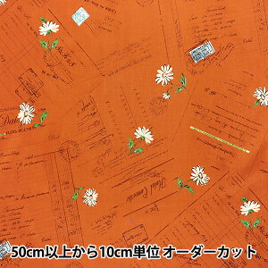 y5z n w֗q V[eBO rJrJ`cH Paper & Marguerite IW SZ825826-Bx YUWA L֏X