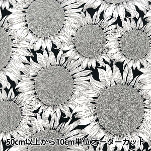 y5z n woeBEt@ubNX 11z n[TVC 3634144-J24Dx Liberty Japan oeBWp