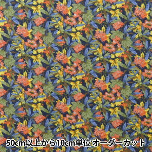 y5z n woeBEt@ubNX GA[Rbg ACB DC28990-J24Ax Liberty Japan oeBWp