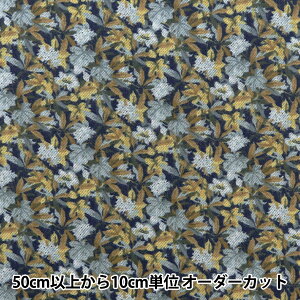 y5z n woeBEt@ubNX GA[Rbg ACB DC28990-J24Cx Liberty Japan oeBWp