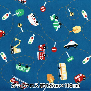 n w͂RۖhL|GXe JbgNX 135cm×100cm ͂炭 lCr[ C-HP-SC-VE-NVx