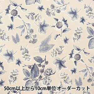 y5z n woeBEt@ubNX ^i[ A_[{^jJ 363J4222-24AUx Liberty Japan oeBWp