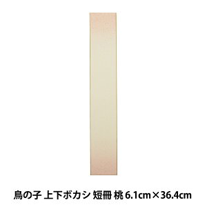 F w̎q ㉺{JV Z  No.1100x