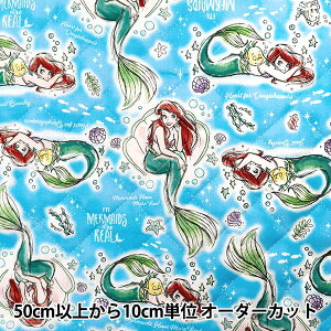 y5z n wIbNXLg gE}[Ch AG GRQ-1136-1Ax KOKKA RbJ