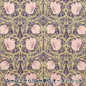 y5z n wV&A 80[ spl p[v VA10028-Dx