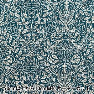 y5z n wV&A V[`O GCR[ YU70005-Cx