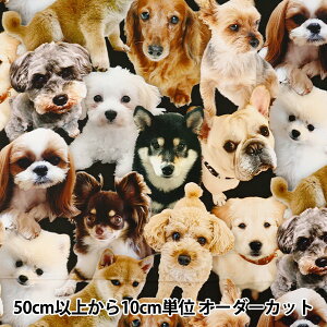 y5z n wV[`O CNWFbgvg hbNY KOM-016x