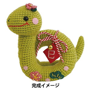 |Lbg w2025N xLbg wr MK-96x Olympus IpX