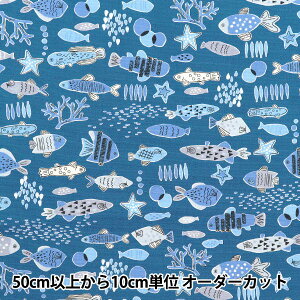 y5z n wJtLoX IbNX JttBbV lCr[ COCAN-FISH-NVx KOKKA RbJ