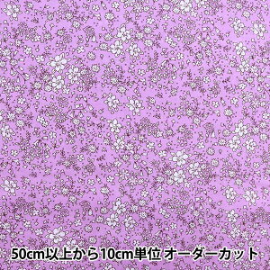 y5z n w60[ `ԕ x_[ CC313096-3x YUWA L֏X V}RNV