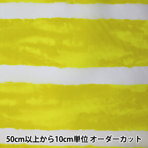 �y����5����z ���n �w�i�C�����I�b�N�X �{�[�_�[�� �C�G���[ LOA-61010-3B�x KOKKA �R�b�J