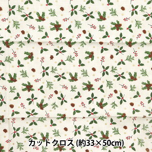 n wpb`[N JbgNX 33cm×50cm NX}X ڂ zCg C-DX10619L-Ax