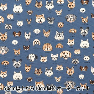 �y����5����z ���n �w�I�b�N�X �}�ӃV���[�Y ���� YPA-61000-2D�x KOKKA �R�b�J